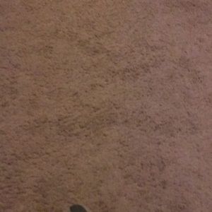 Meet your Posher, Gavin